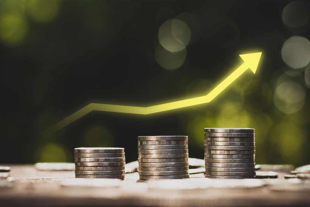 Unlocking the Investment Potential of Private Number Plates: ROI Analysis and Value Appreciation Trends